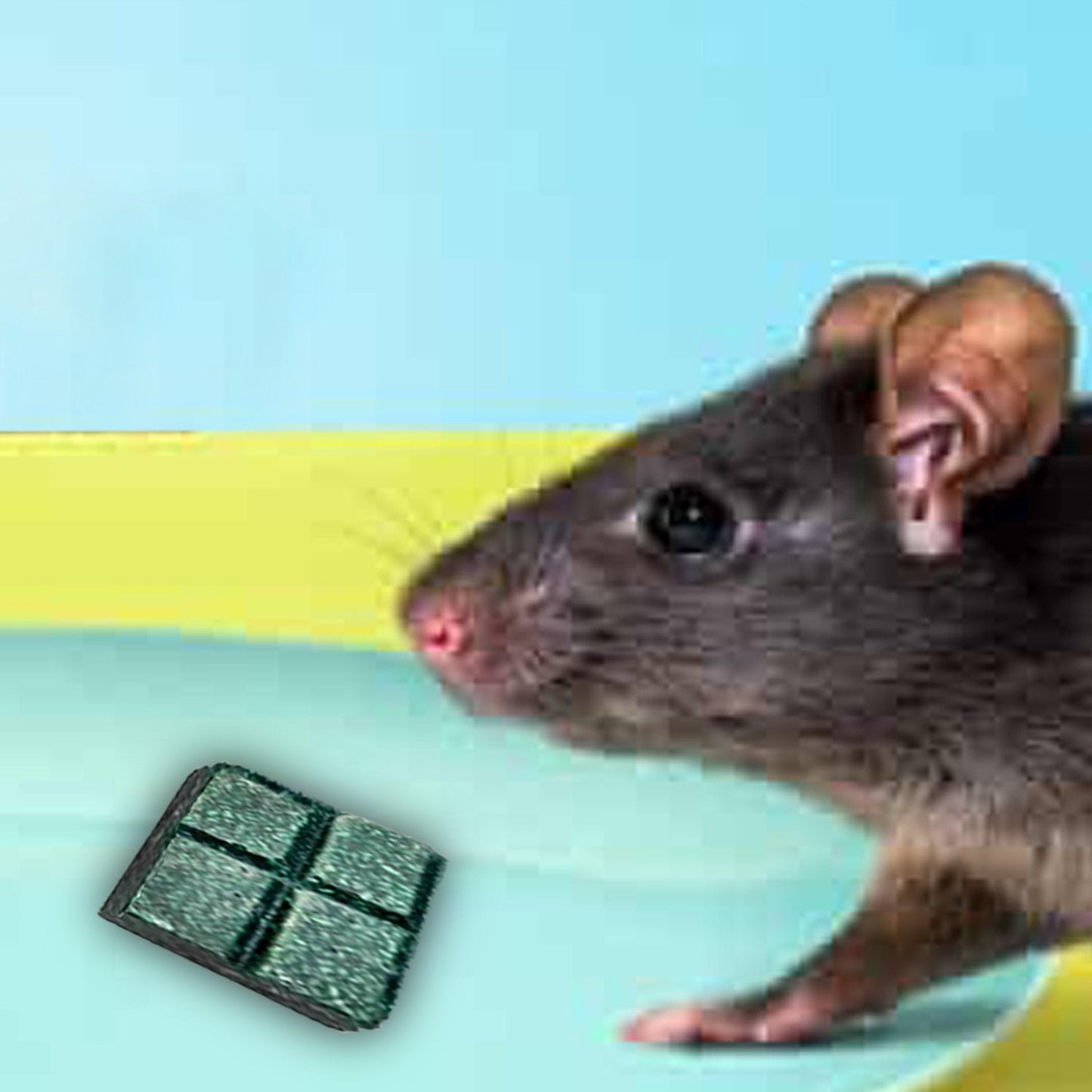 (PCI) Roban the Rat Killer (Brown) Small - Jaatara(PCI) Roban the Rat Killer (Brown) SmallJaataraJaataraJaatara