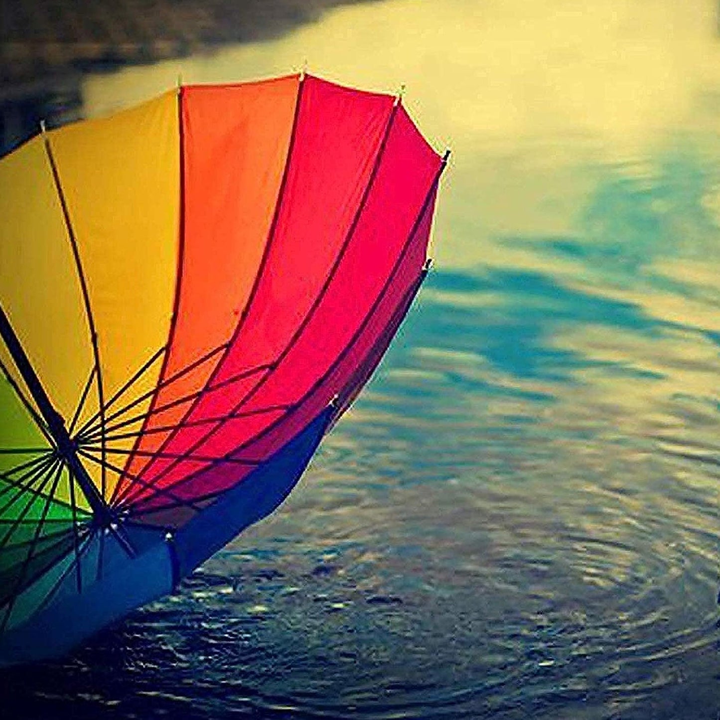 Rainbow Umbrella for Men & Women (Multicolor)