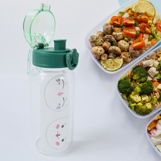 Anti-Leak Glass Water Bottle, Crystal Glass Water Bottle For Kids, Stylish Water Bottle with Sipper