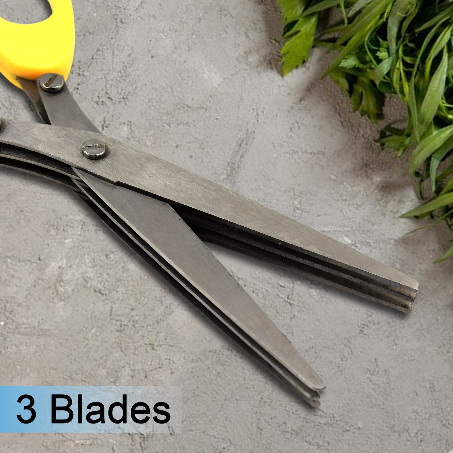 Herbs Scissor with 3 Blades