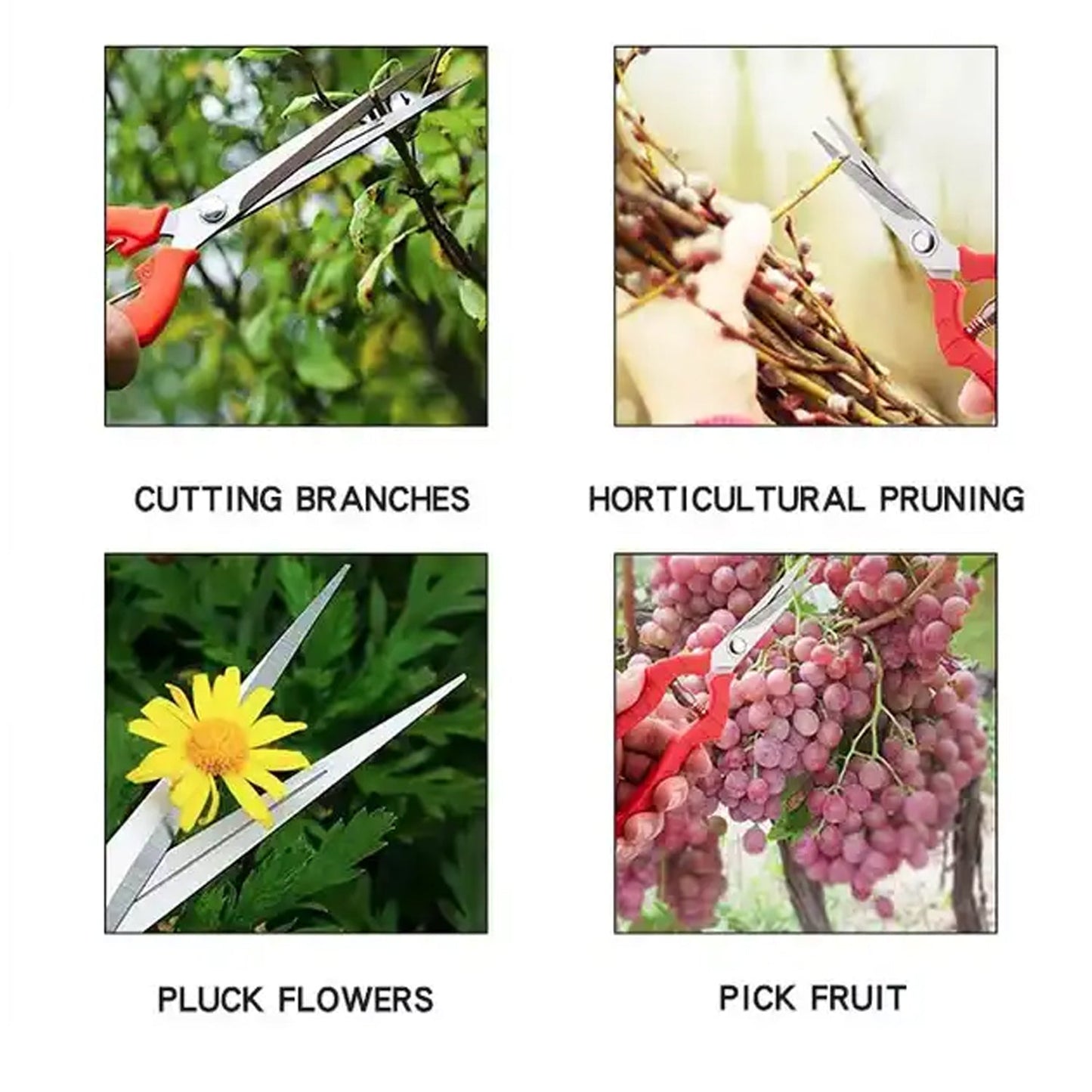 Heavy Duty Stainless Steel Cutter, Non‑slip Trimming Scissors Durable Not Easy To Wear for Gardening Pruning Of Fruit Trees Flowers and Plants (With Plastic Packing)