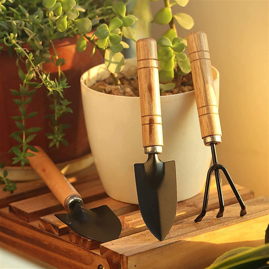 Small sized Hand Cultivator, Small Trowel, Garden Fork (Set of 3)