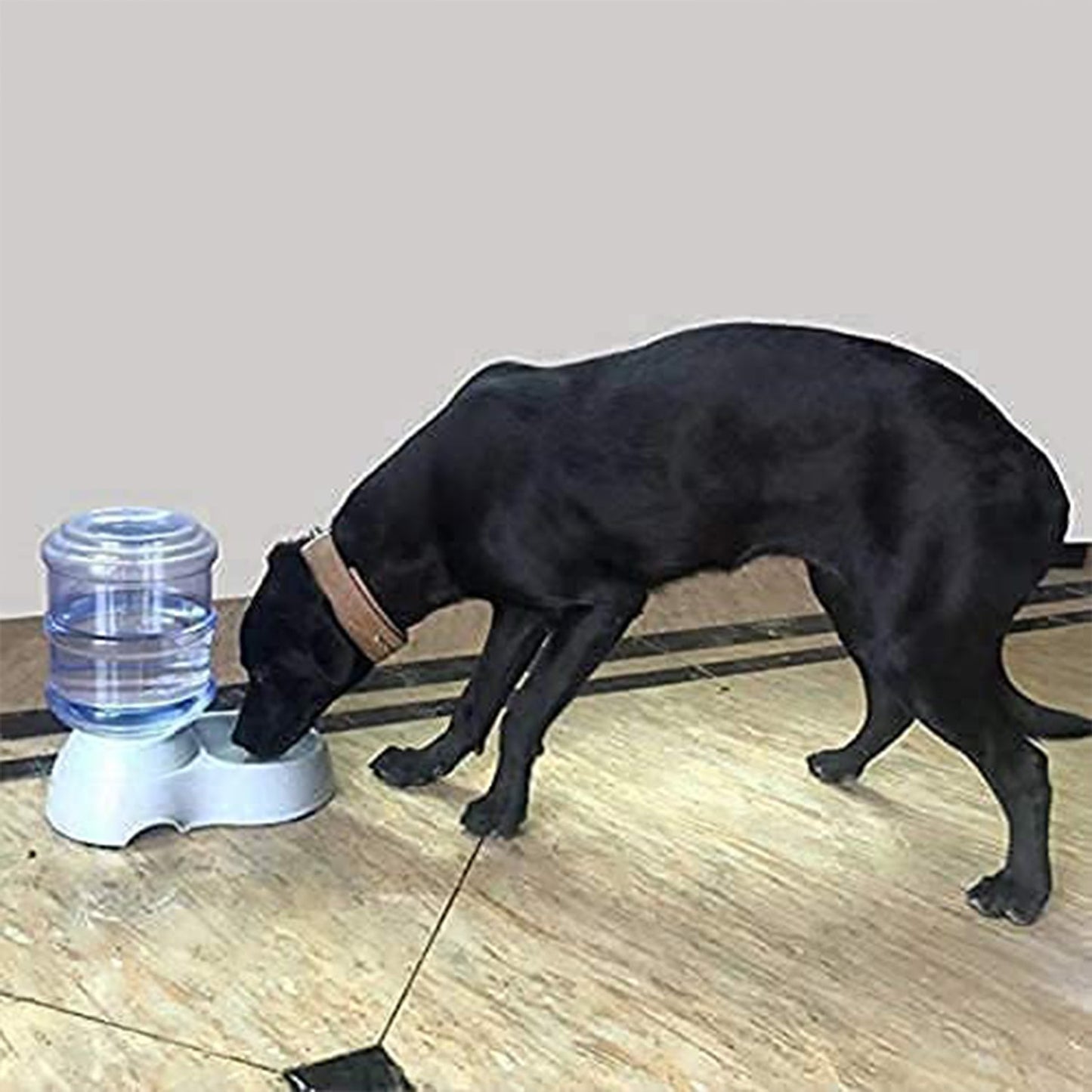 Automatic Pet Water Dispenser Self-Dispensing Gravity Pet Feeder Water Cat Dog Feeding Bowl Drinking Water & Pet Feeder Food Dispenser - Replenish Pet Food for Dog Cat Animal Automatic Gravity Dry Food Storage Bottle