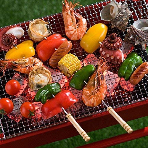 2224 BBQ Tandoor Skewers Grill Sticks for Barbecue (Pack of 12) 