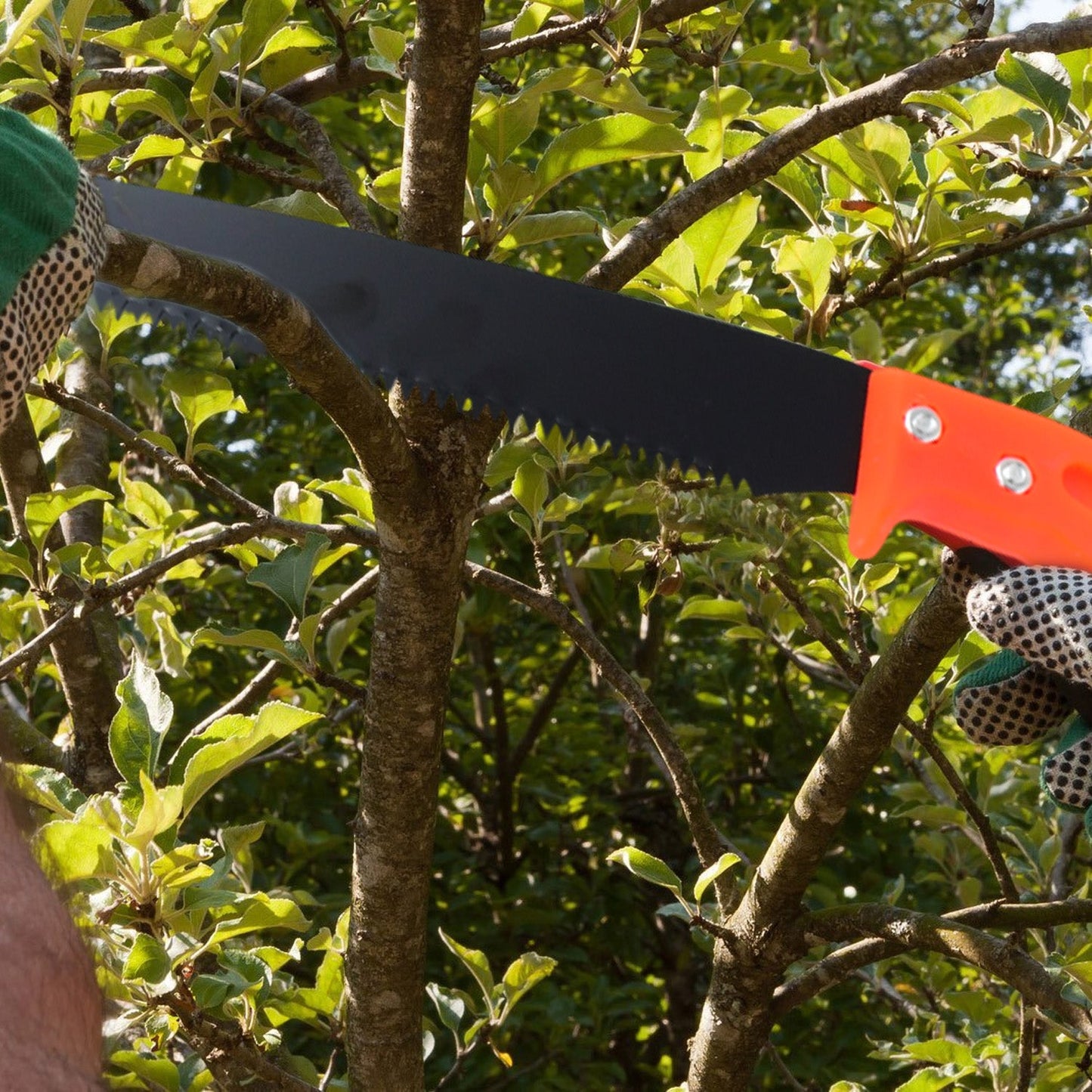 Hand Pruning Saw for Tree Branch Cutter (1 Pc)